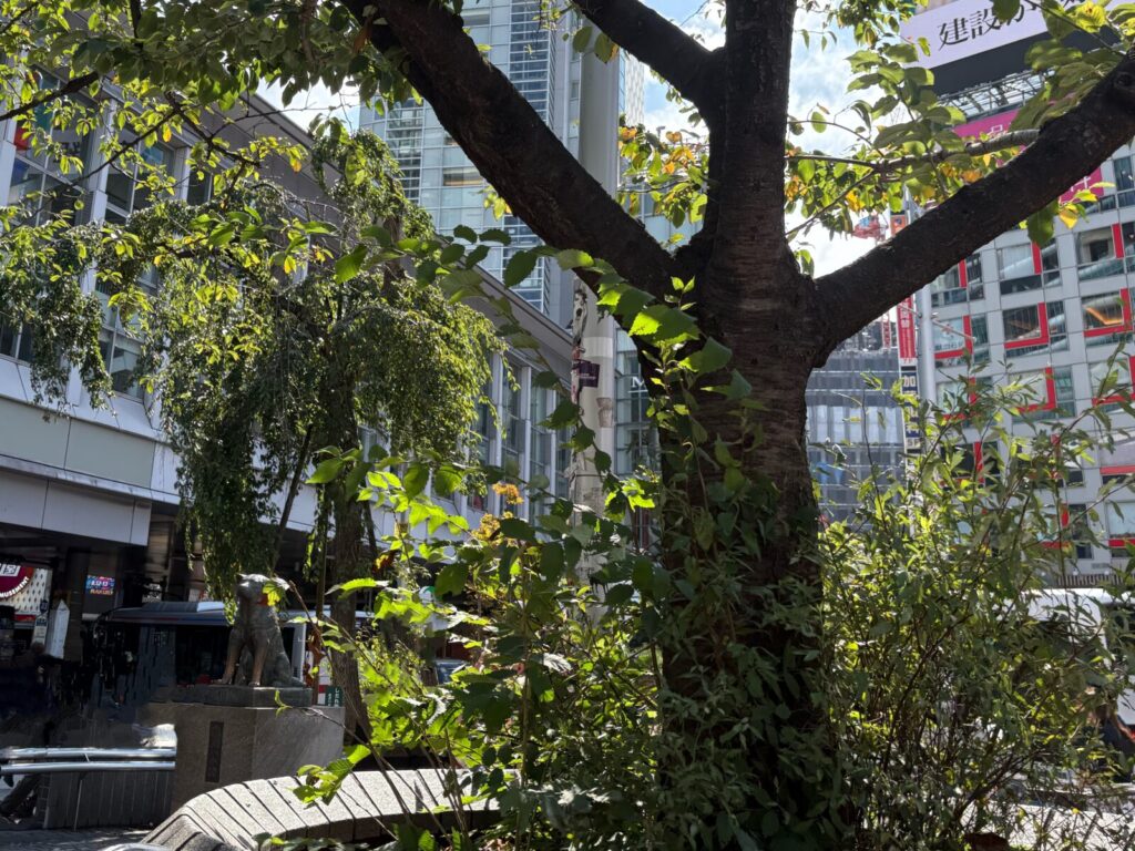 渋谷駅ハチ公口前に到着。左にハチ公像。